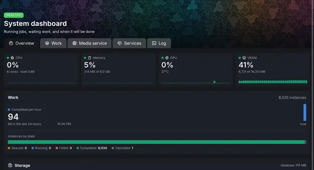 The system dashboard saying Healthy, with CPU, memory, GPU and video memory gauges